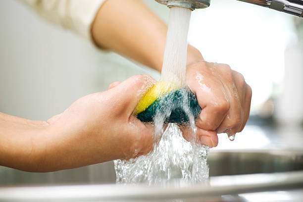 How Often Should You Replace Your Kitchen Sponge?