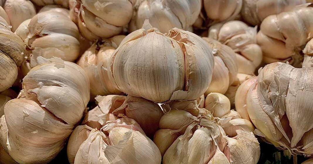 What Happens When You Eat Garlic Before Sleep? 6 Reasons!