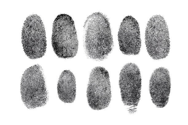 AI Fingerprint Analysis Challenges 100-Year-Old Belief in Forensic Science