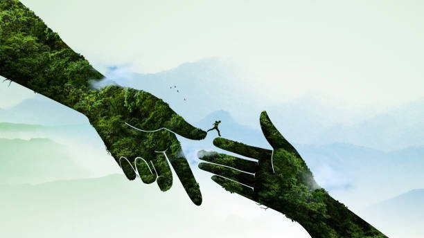 The Crucial Role of Multicultural and Spiritual Education in Eradicating Terrorism and Hate.