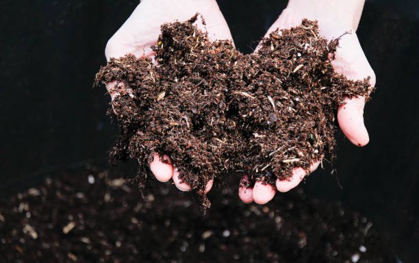 Silent Disaster: Microplastics in Farmland & Human Body. velsmedia
