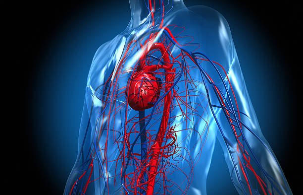 Simple Drinks That Help Prevent Heart Disease Naturally. Velsmedia.