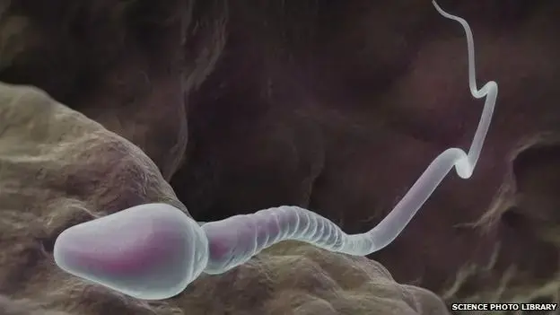 sperm-research-fertility-tamil-medical-journal