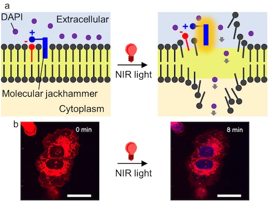 molecular-jackhammers-cancer-tamil-explained-vels-media molecular-jackhammers-cancer-tamil-explained-vels-media