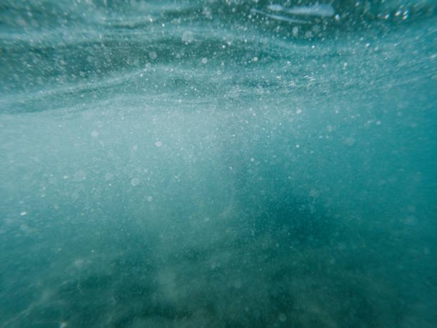 ocean-plastic-deeper-crisis-vels-media ocean-plastic-deeper-crisis-vels-media