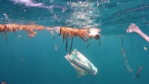 plastic-pollution-climate-change-ocean-study-vels-media