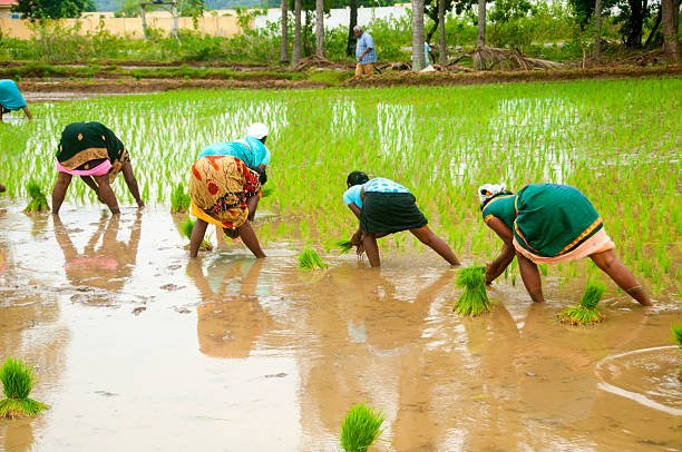 farmers-loan-struggle-tn-cooperative-banks-vels-media