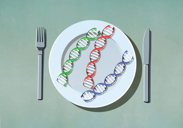 dna-diet-weight-management-vels-media dna-diet-weight-management-vels-media