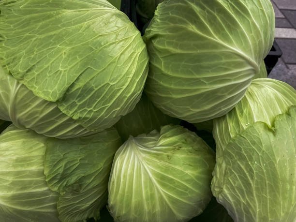 monsoon-vegetables-avoid-health-vels-media monsoon-vegetables-avoid-health-vels-media